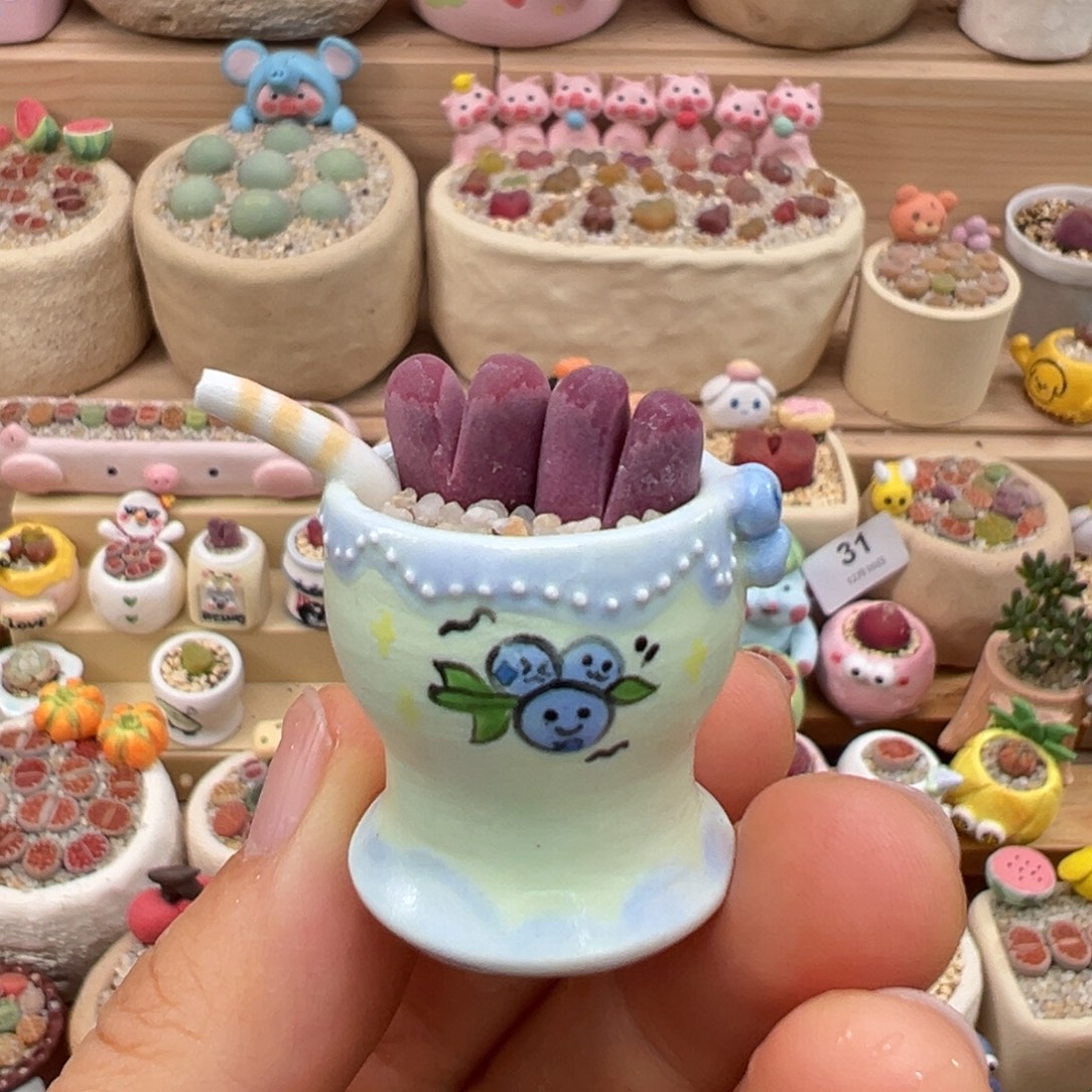 多肉植物34号拇指盆