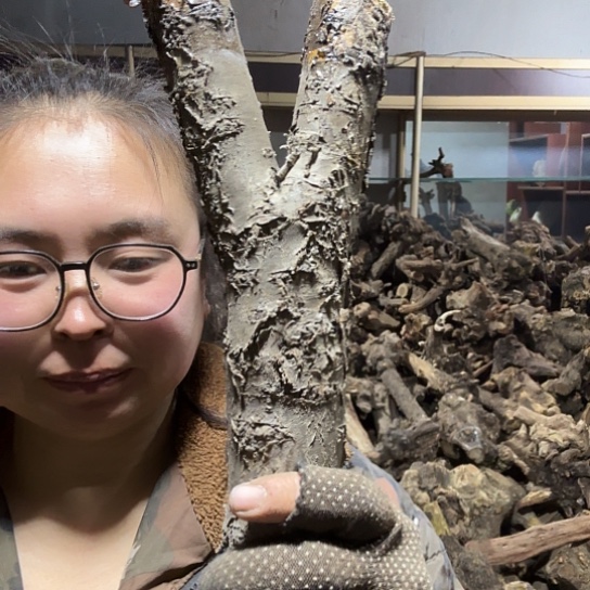 香榧木常*?火琉璃的毛料摆件