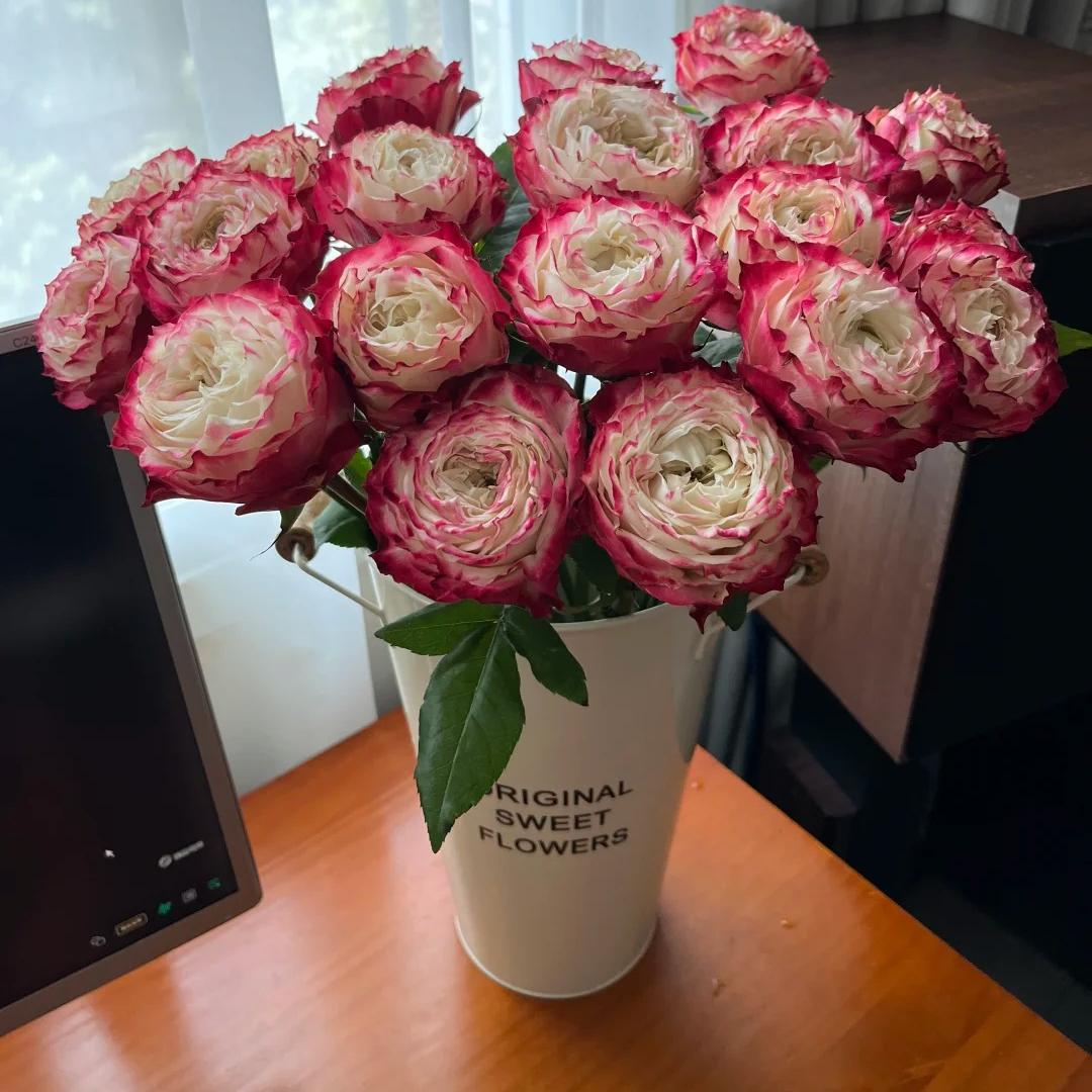 【AB级苹果杰克玫瑰】全场鲜花任意两单及以上包邮