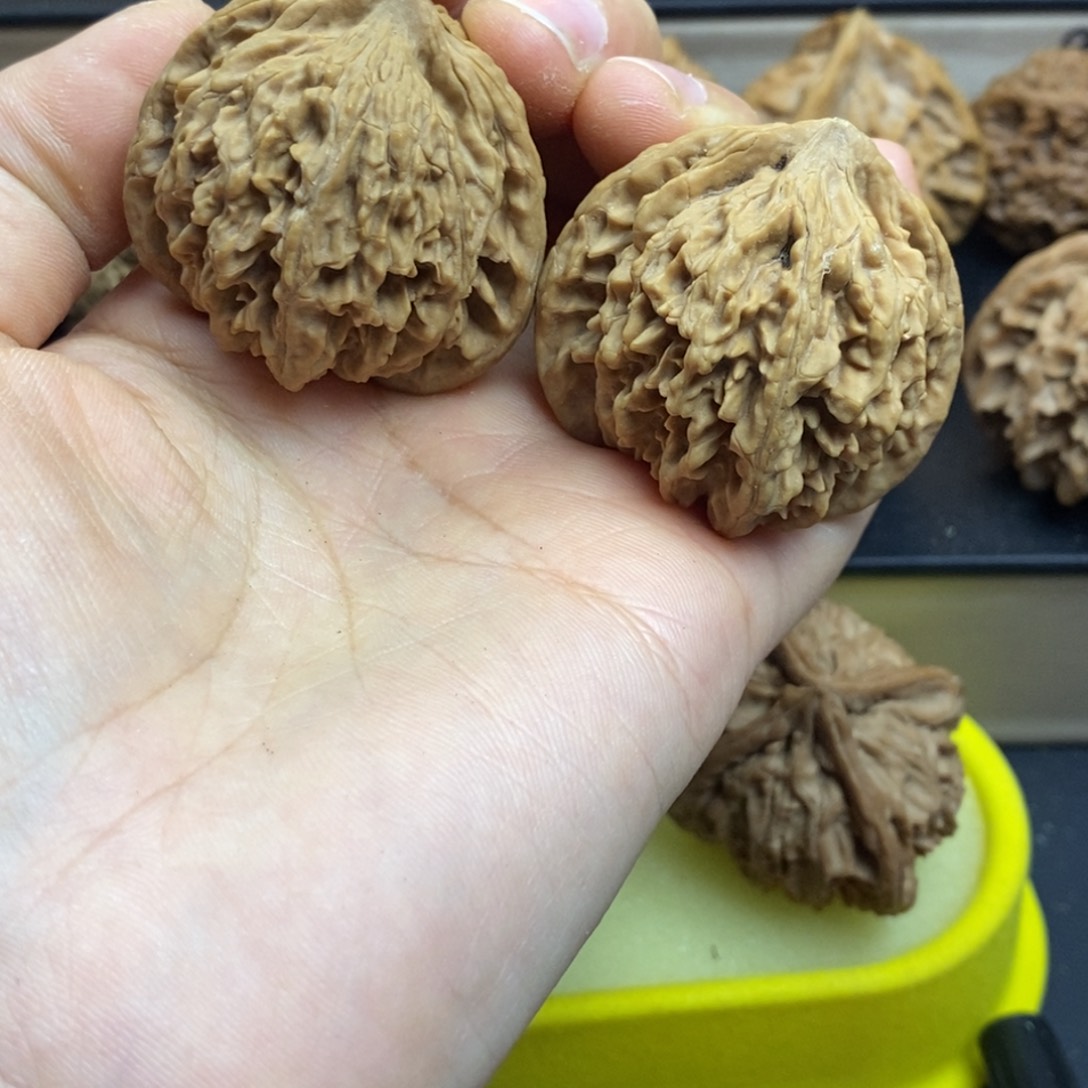 桃核吊坠秦岭流星雨38