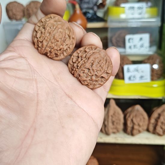 35尺寸，野生无名小种