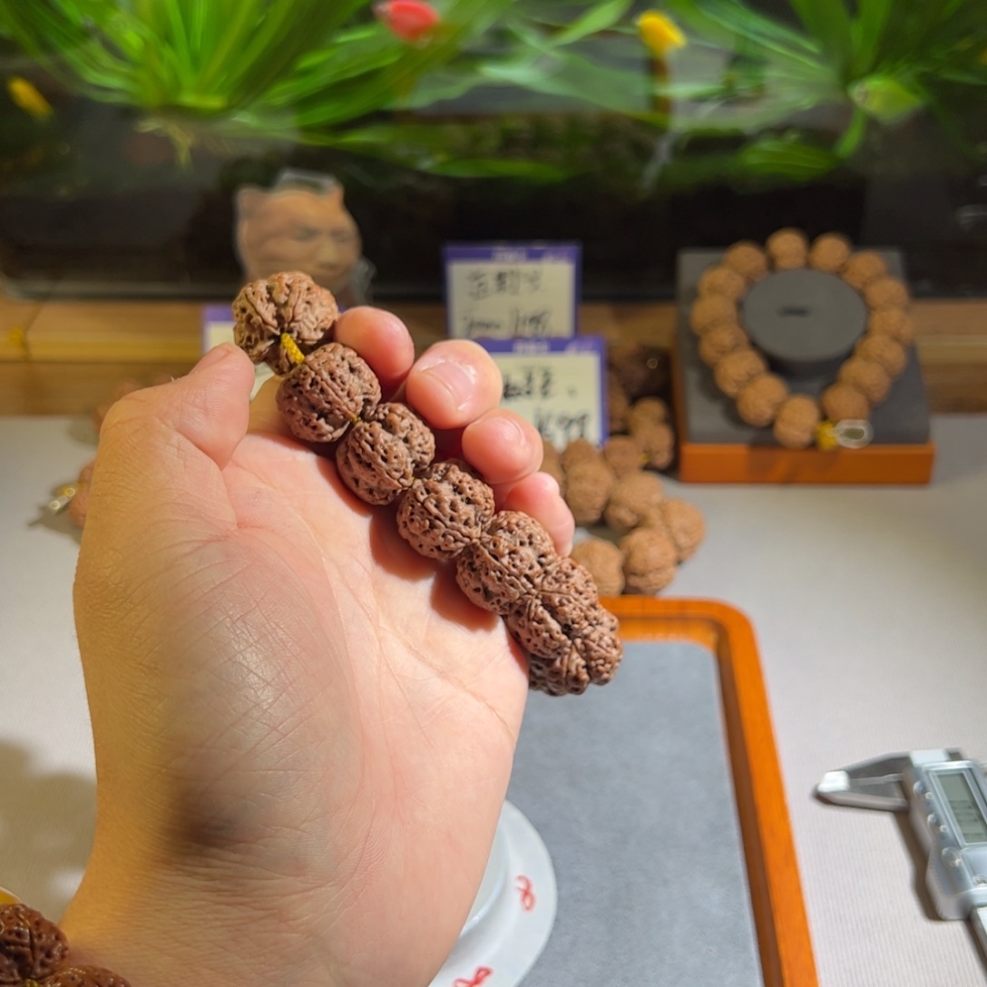 金刚菩提手串大**子平头龙王22