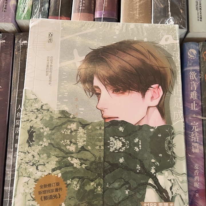 附加遗产全新全套两本带周边