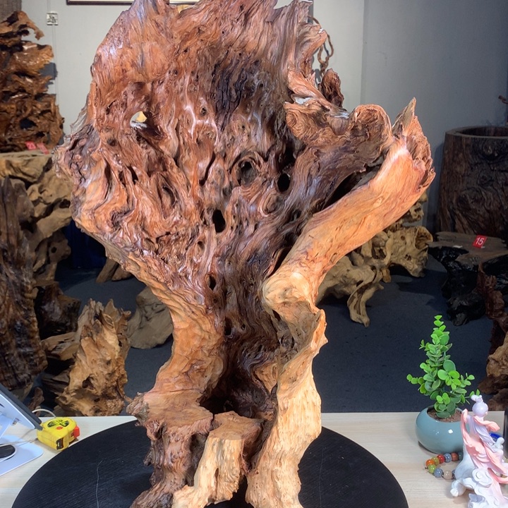 疯***头88888888888888888