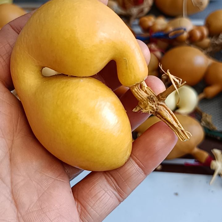 爱*惠葫芦葫芦葫芦葫芦葫芦葫芦