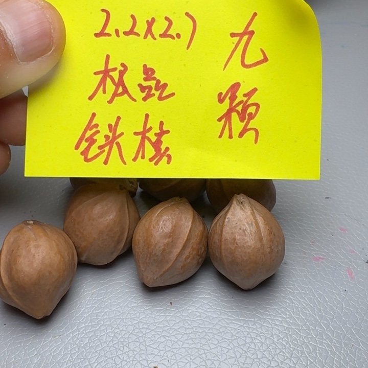 橄榄核手串向*橄榄核666