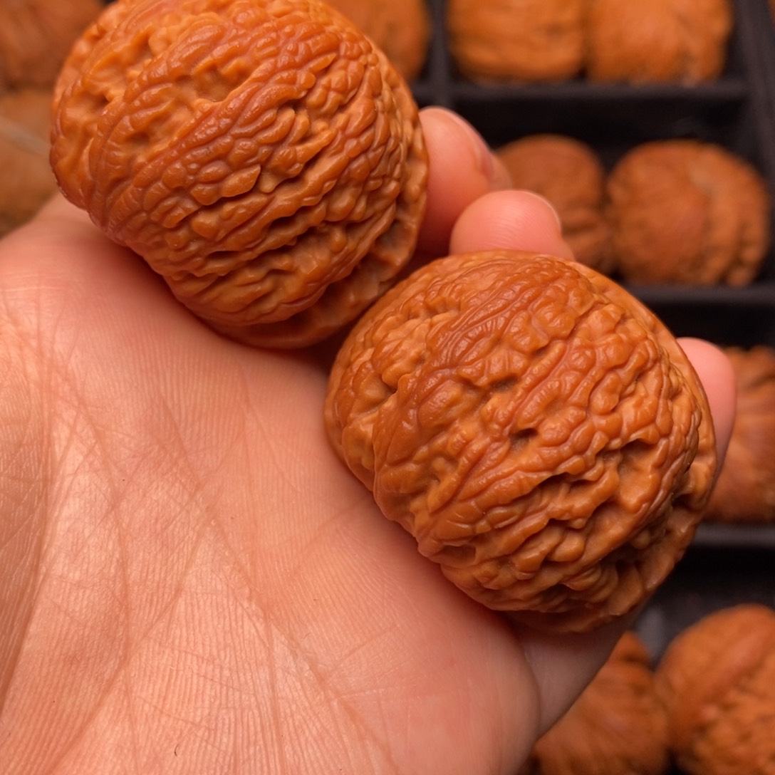 文玩核桃把件秦岭野生核桃