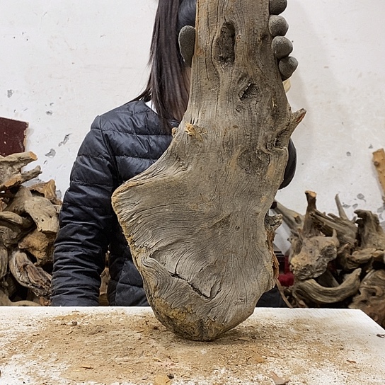 用***3柏木我们都是好孩子