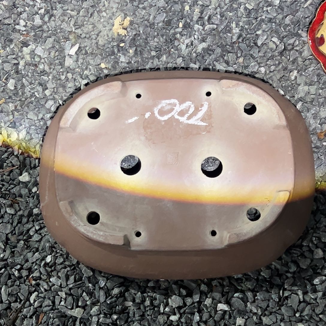 无花朵杂木盆景盆