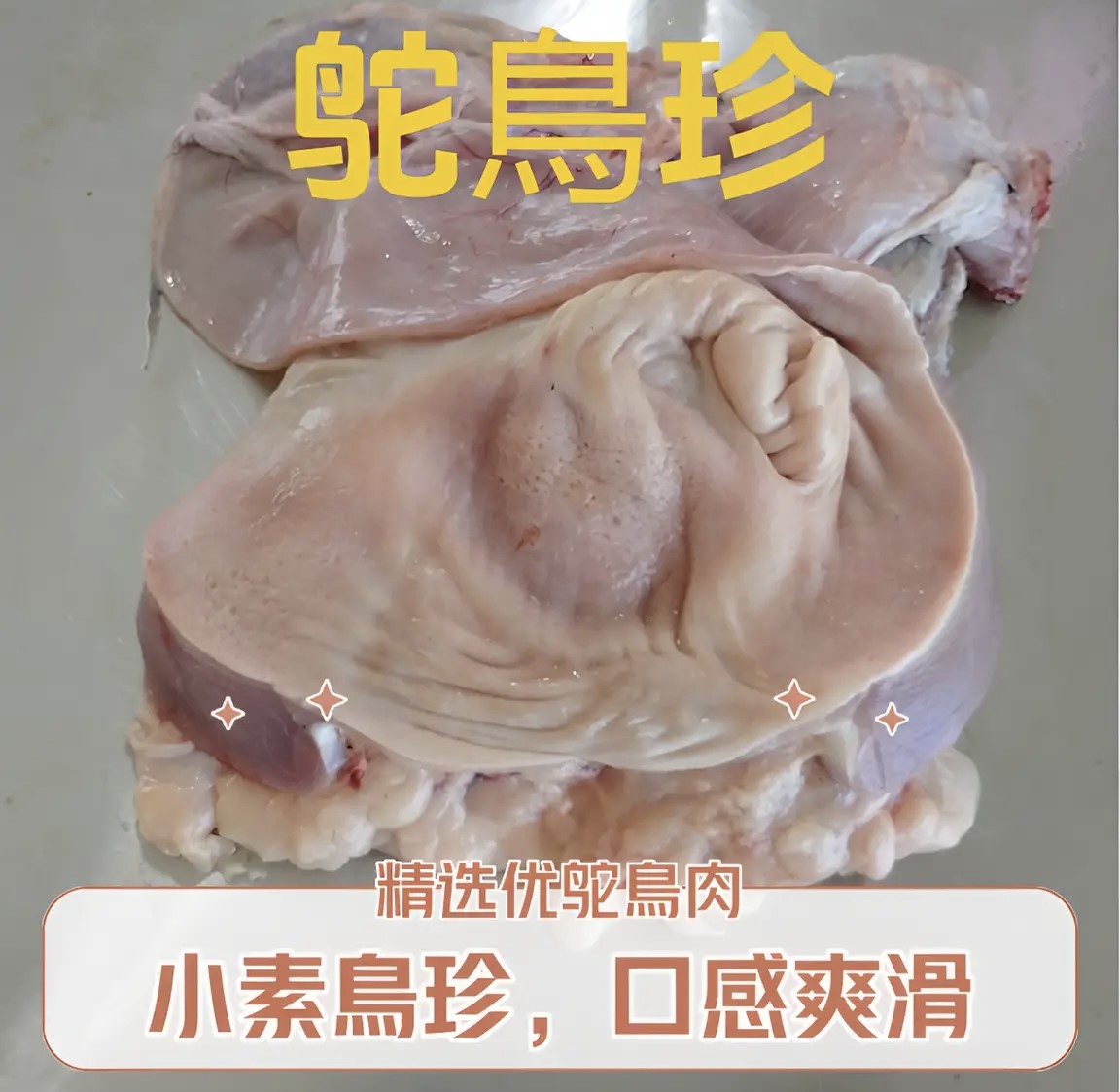 鸵鸟珍（爆炒、卤煮、麻辣、烧烤）顺丰包邮，一物一拍以直播间称重为准