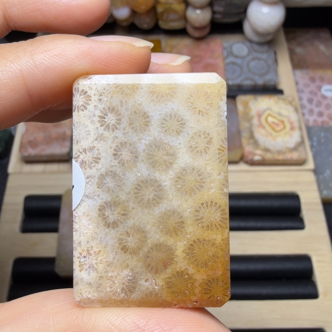 硅化玉未镶嵌全透 闪闪 黄骨骼花