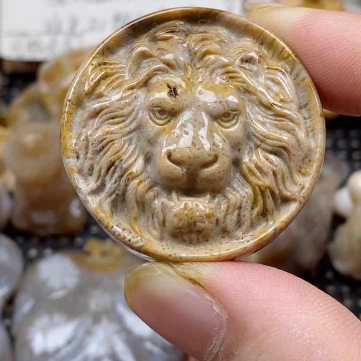 颈饰未镶嵌硅化珊瑚（珊瑚玉）有瑕 小