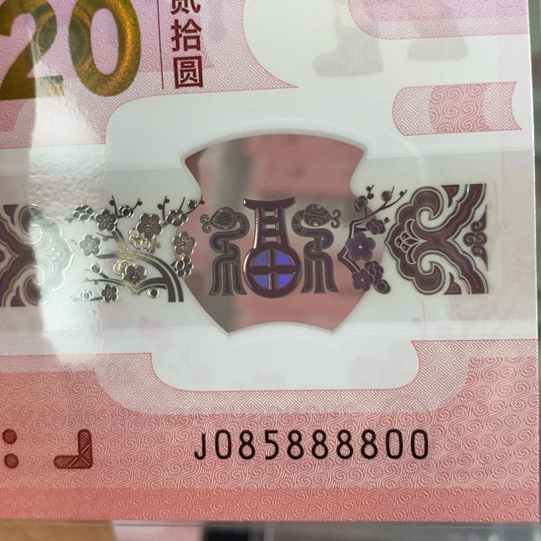 塑料8800…………………………………………