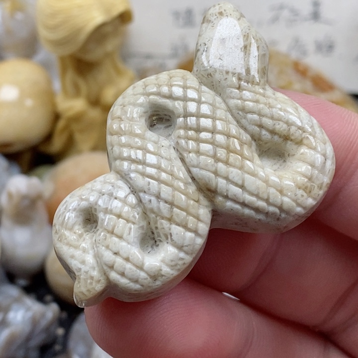颈饰未镶嵌硅化珊瑚（珊瑚玉）