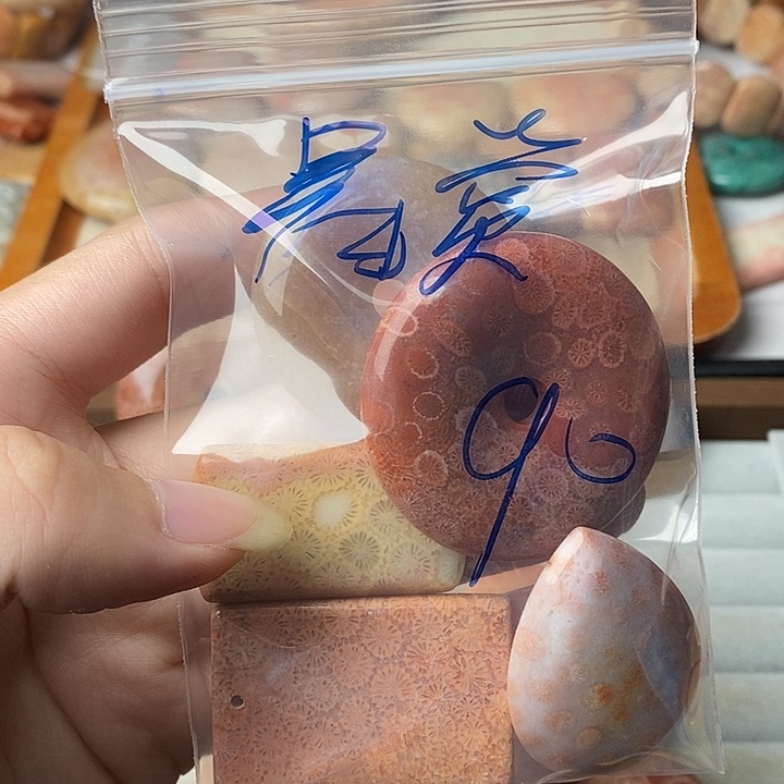 星***月硅化玉未镶嵌颈饰