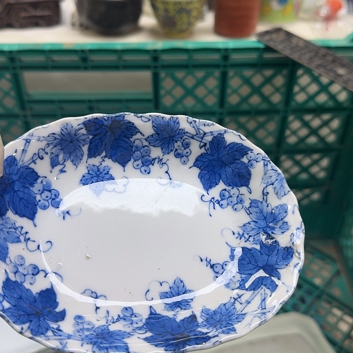 瓷片好*喵开播啦…开播啦