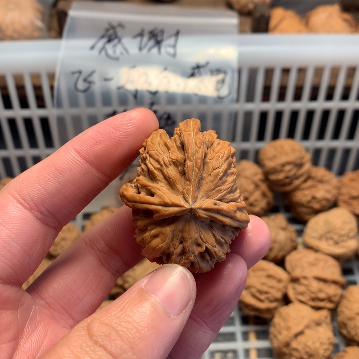 J***F把件文玩核桃白狮子