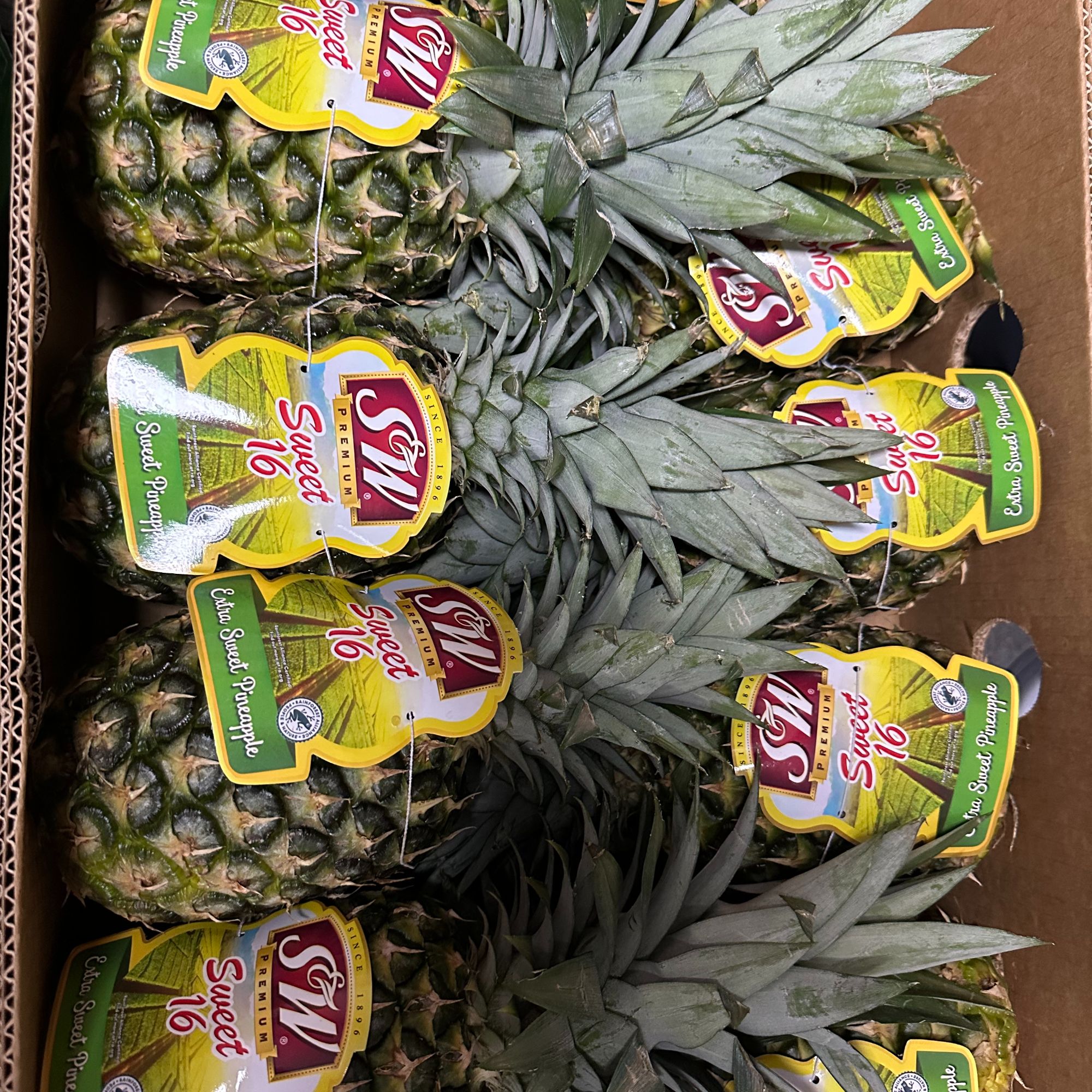 【京东次日达】菲律宾凤梨SW凤梨金菠萝金菠萝菲律宾共和国