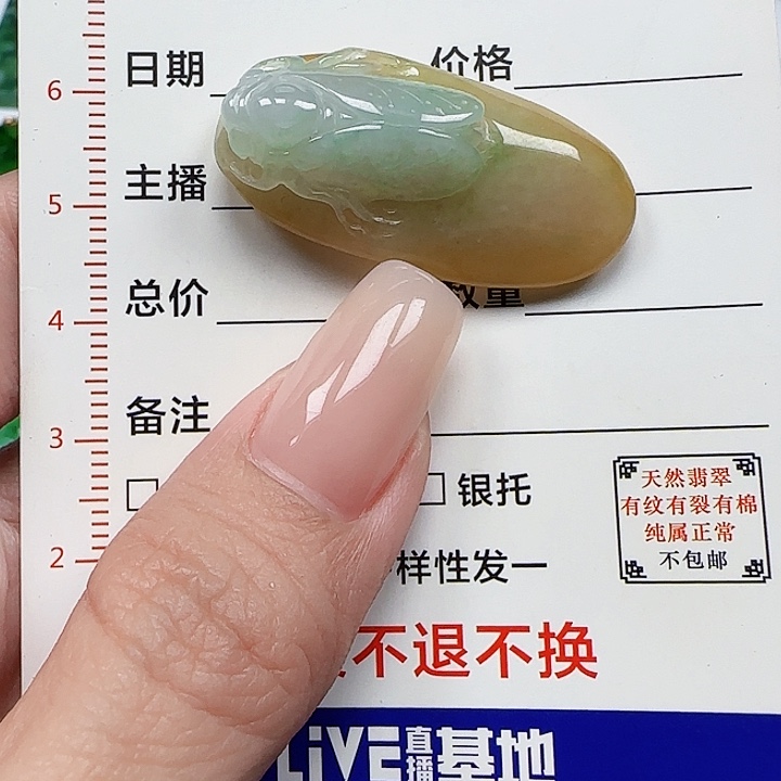 翡翠颈饰未镶嵌天然