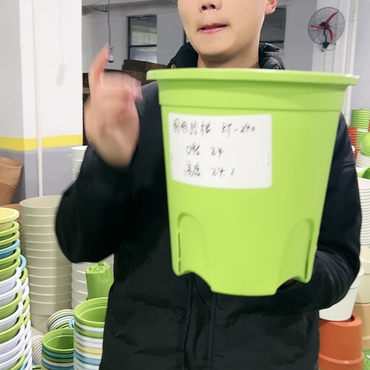 正品圆控口24高24果绿色8只无托