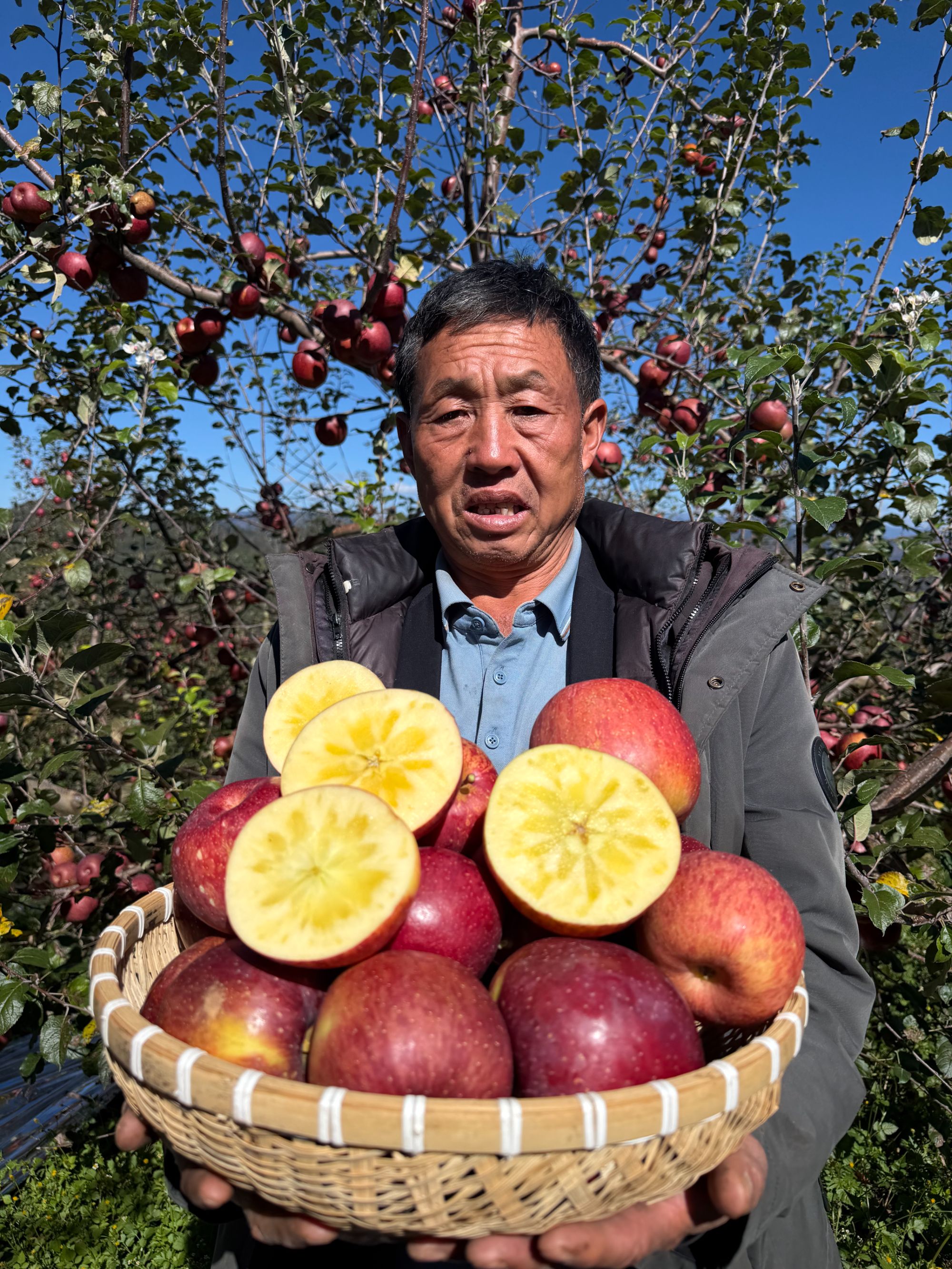 盐源冰糖心丑苹果四川大凉山盐源冰糖心红富士苹果新鲜水果5/8斤