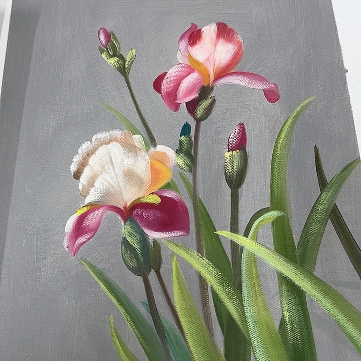 油画p z p z s r y p y p