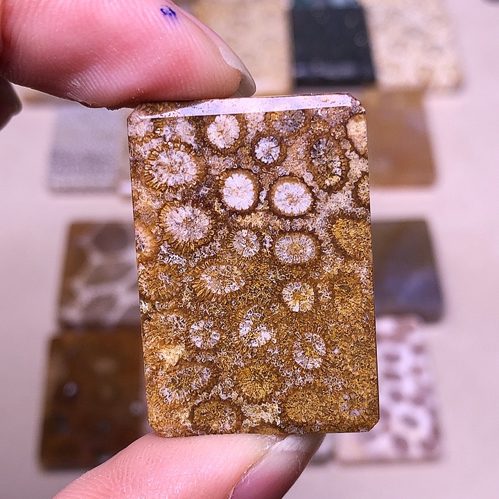 s***。硅化玉合金珊瑚玉