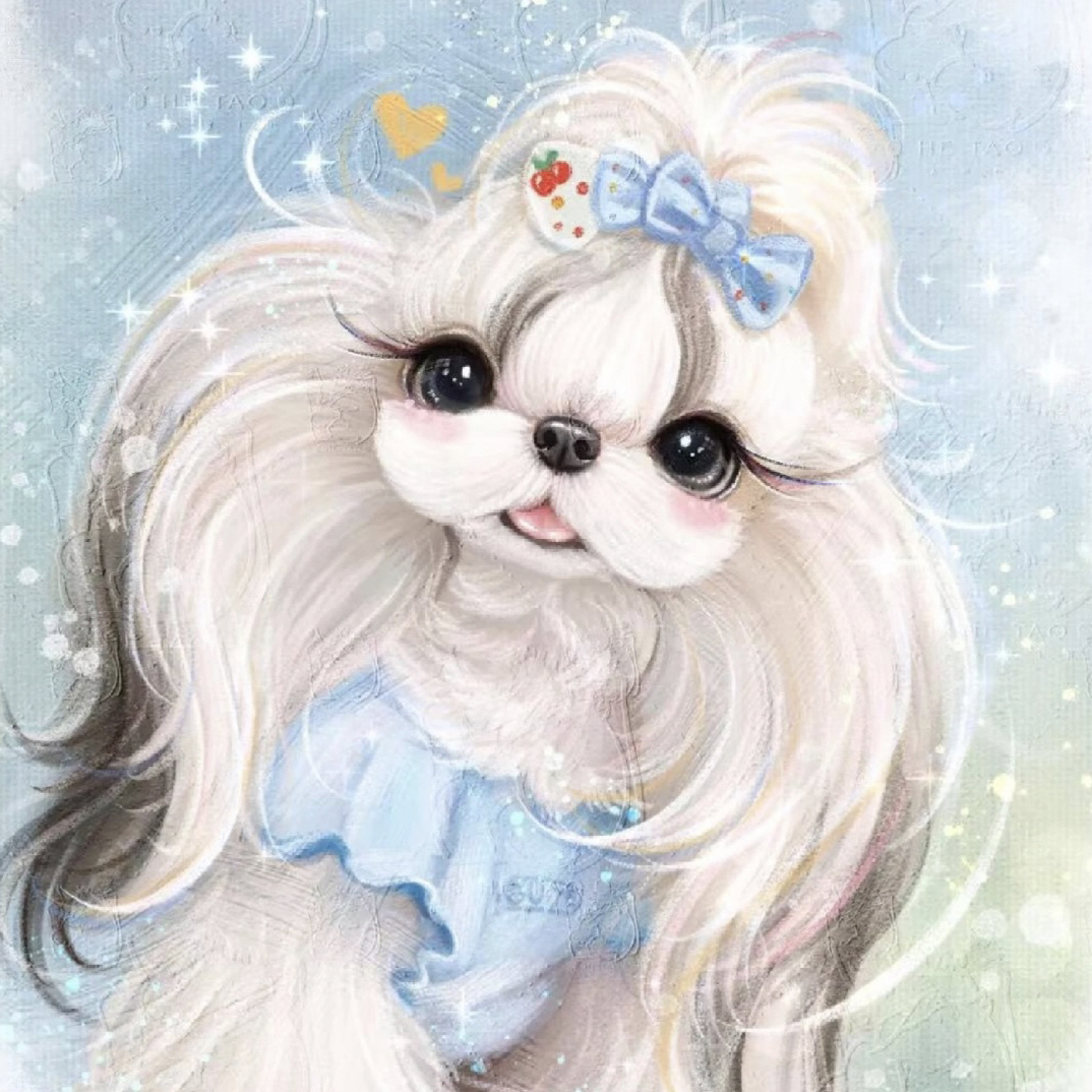 小型犬宠物衣服微瑕疵No退No换确认好尺码