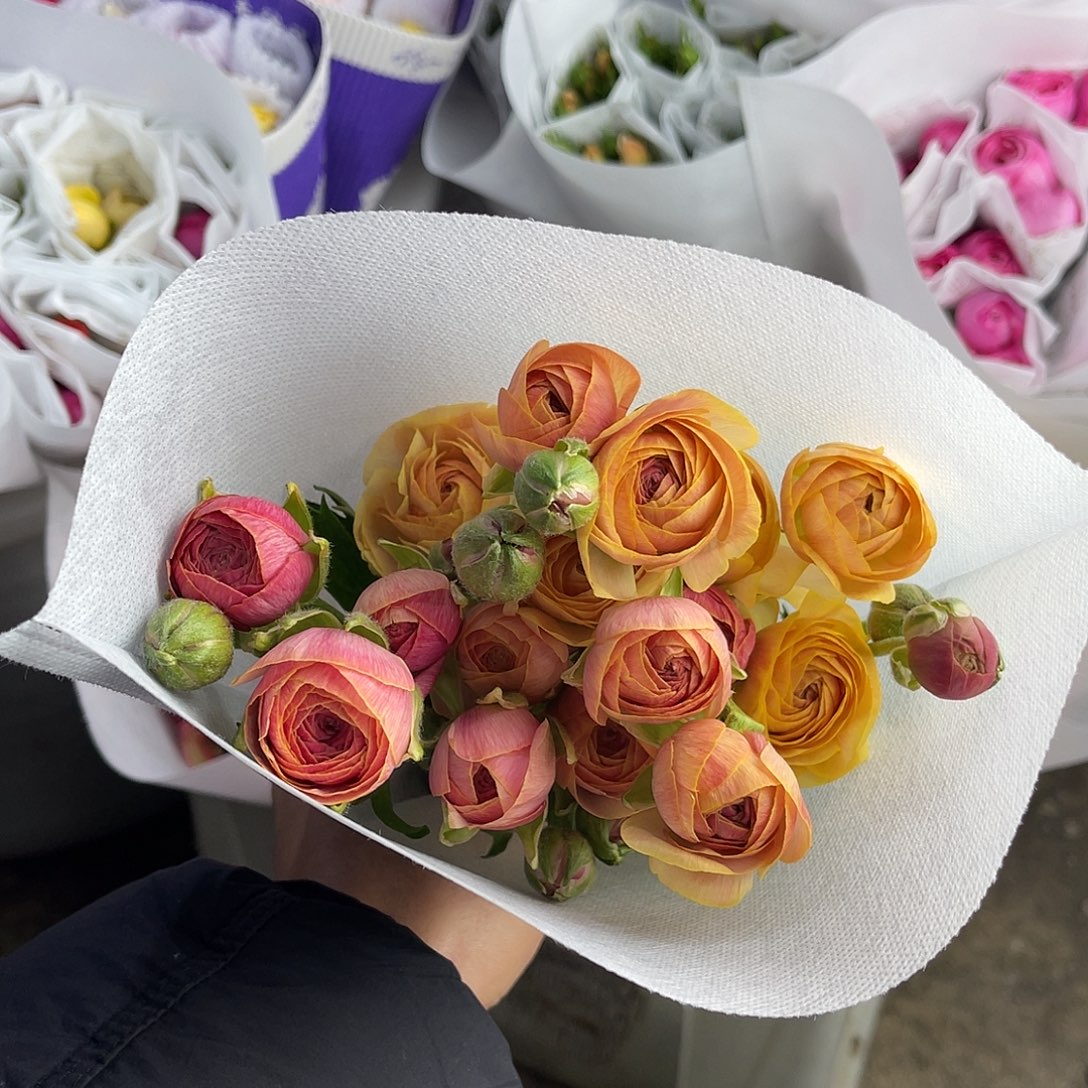 全部花苞洋牡丹（极光）一扎