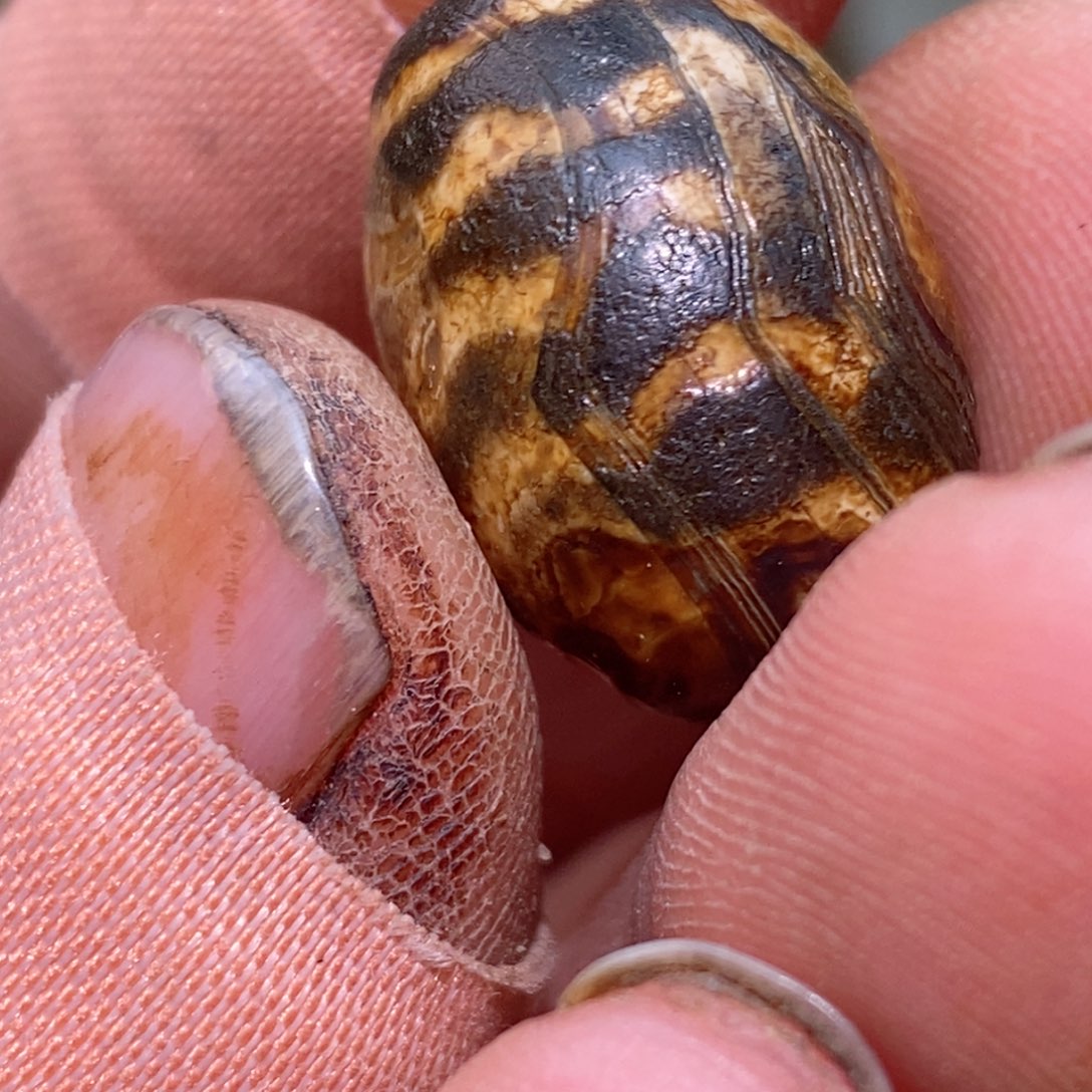 未镶嵌珠子的玛瑙/玉髓