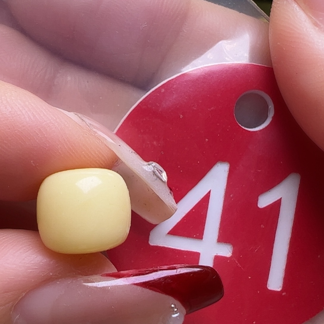 蜜蜡未镶嵌珠宝奇石9.5mm白蜡老型