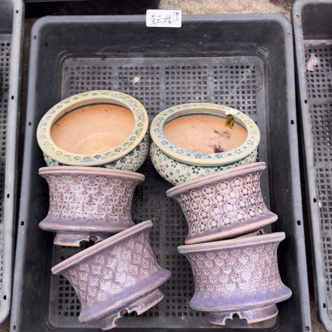 东云烧6个微瑕100元1号