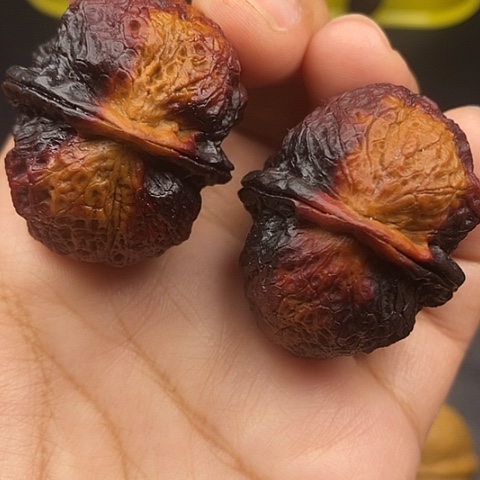 文玩核桃把件40尺云南核桃