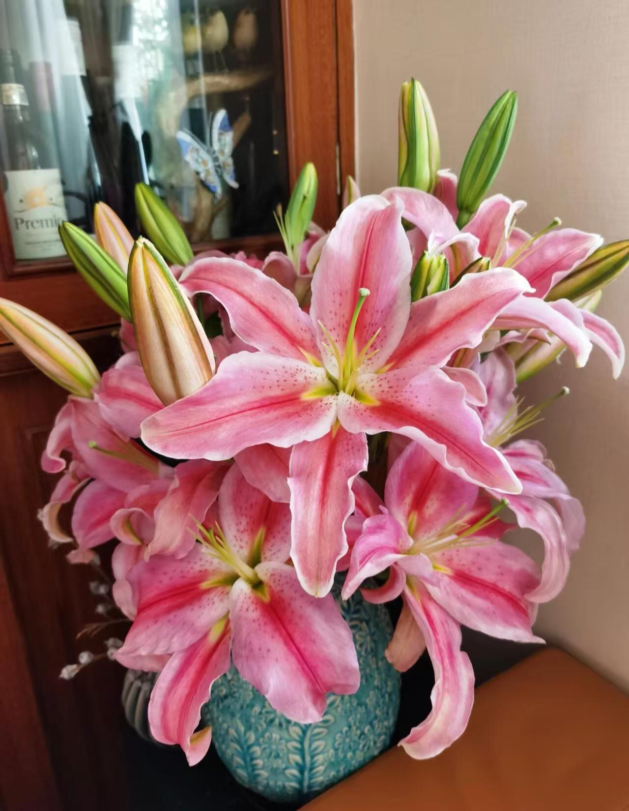 鲜花【罗蒂百合】同地址两单以上顺丰包邮送货上门+送配草1扎