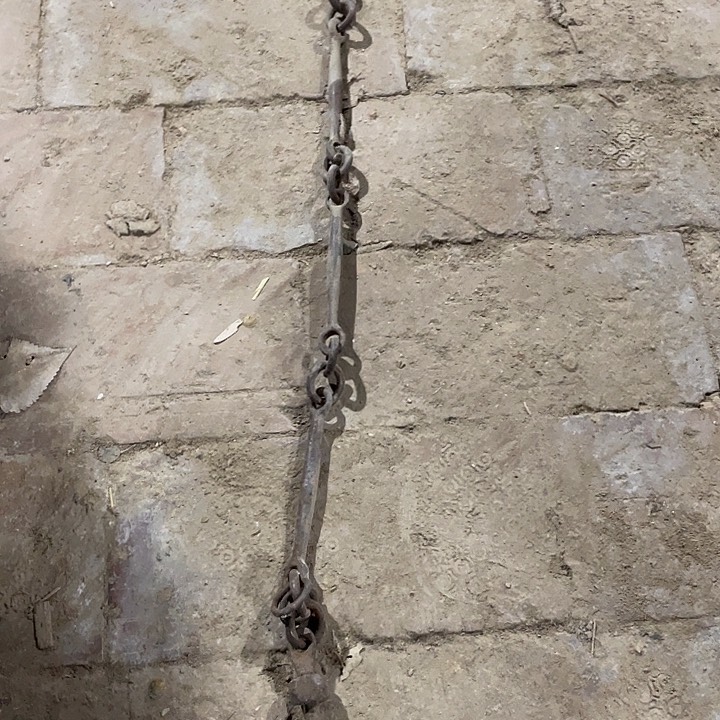 香榧木李**。老铁件一个包邮