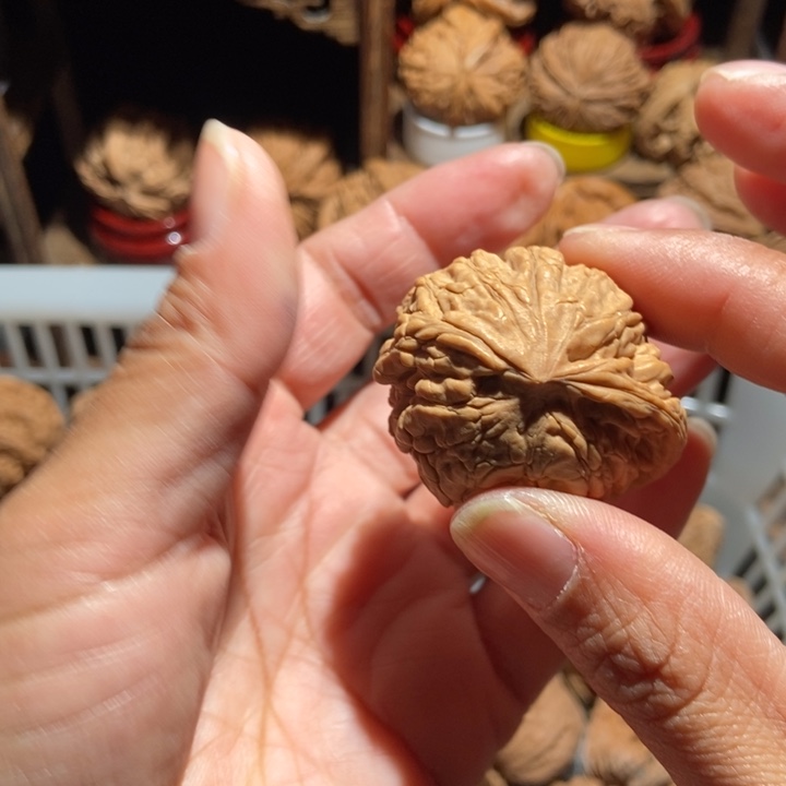 蓝***航核桃龙鼎尺寸41全品