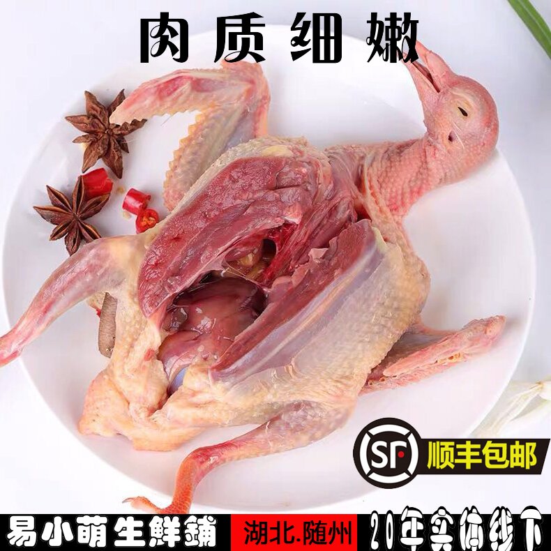 顺丰包邮新鲜散养鸽子肉现杀新鲜白条土鸽可煲汤