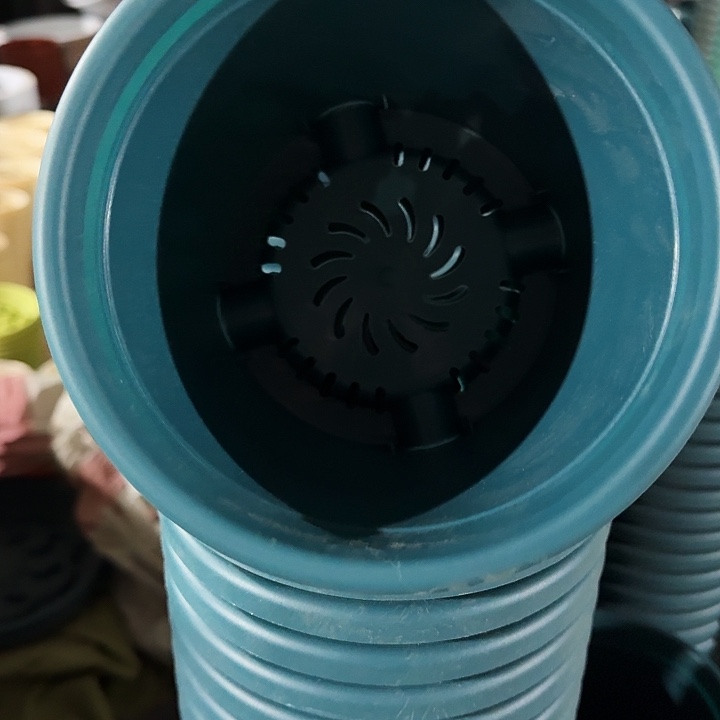 四季2号军绿无托12个