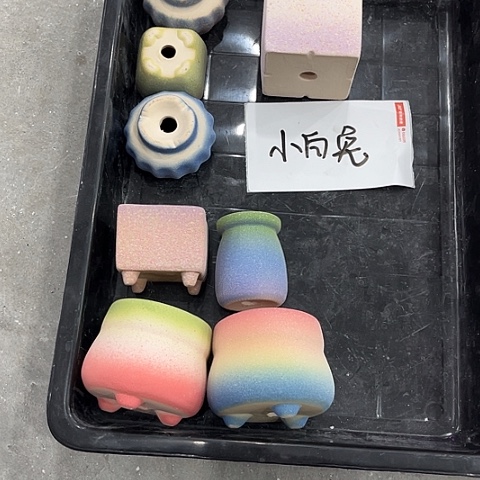 陶小白兔小姐姐专属盆盆