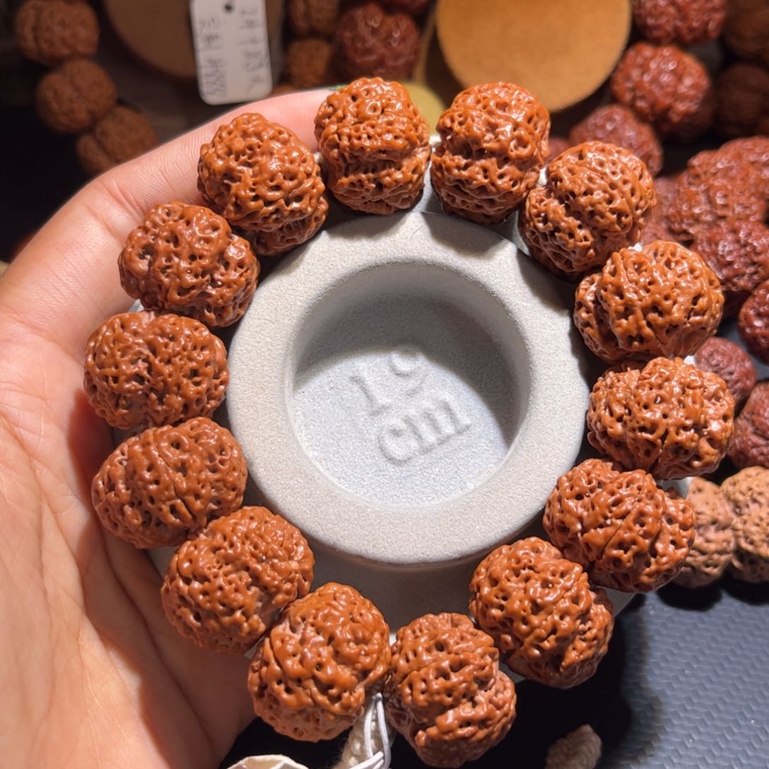 金刚菩提手串古龙梅花24