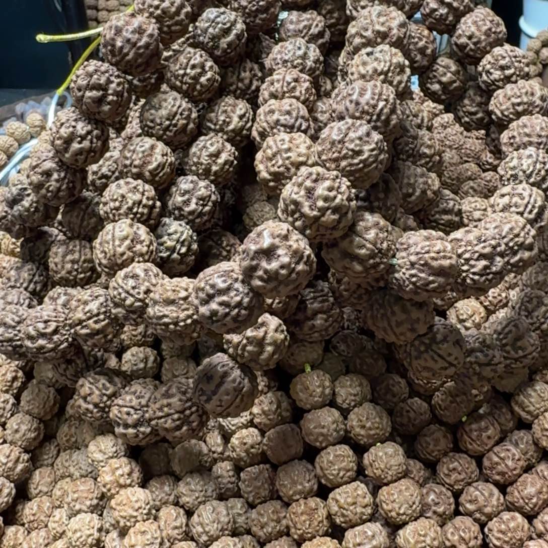 ༂***༂金刚菩提吊坠龙骨单圈8条