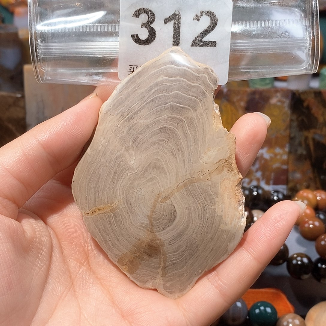 硅化玉天然北票硅化玉原石未镶嵌天然北票硅化玉原石