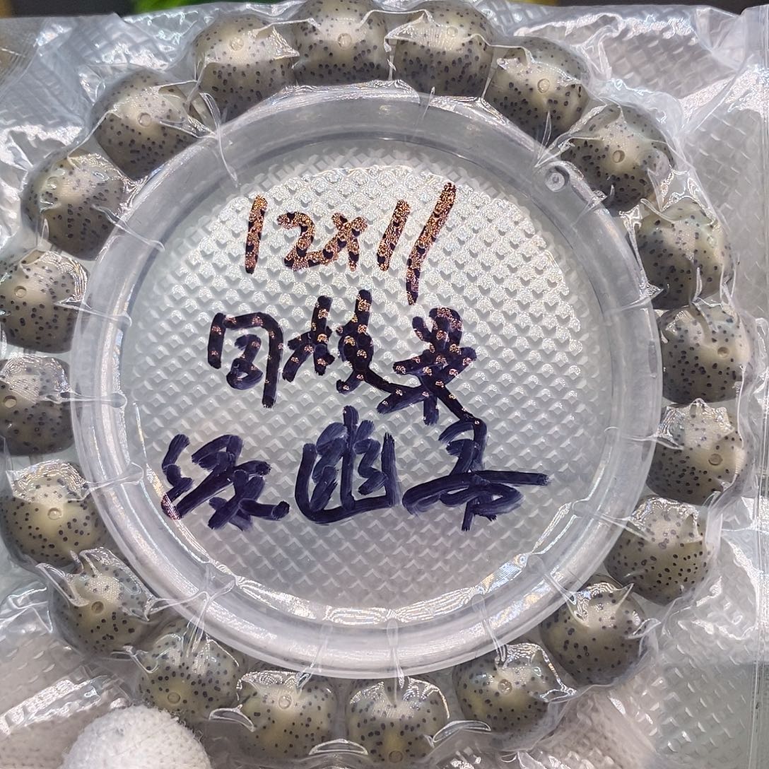 手串星月菩提原生态绿幽灵同支果12x11星点款