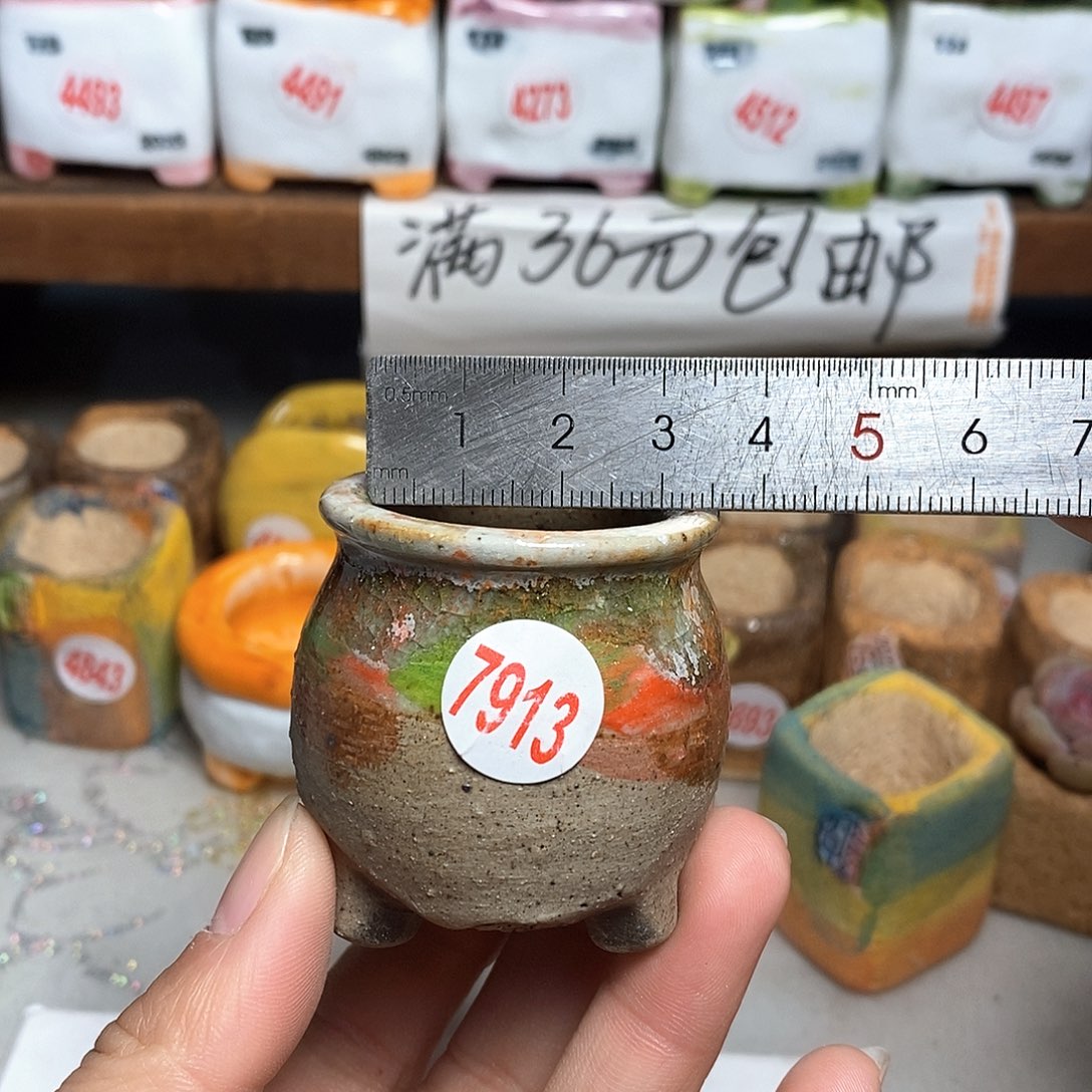 红陶拍5送一个小