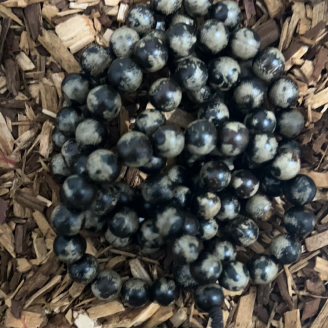 47 福来精选文玩沉香木作手串12mm