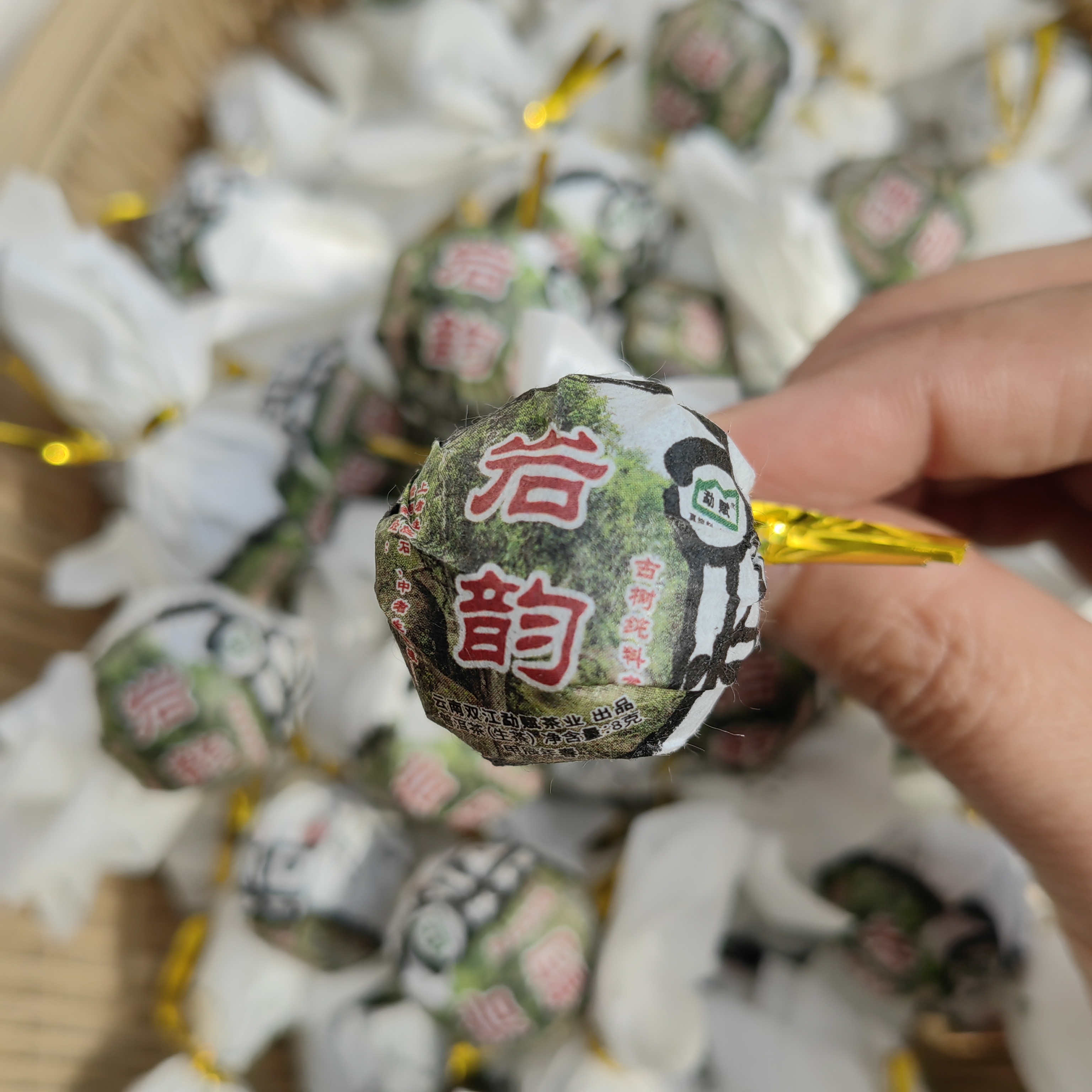 岩韵 古树普洱生茶 8 克龙珠 6 颗 2024 春茶 石头茶