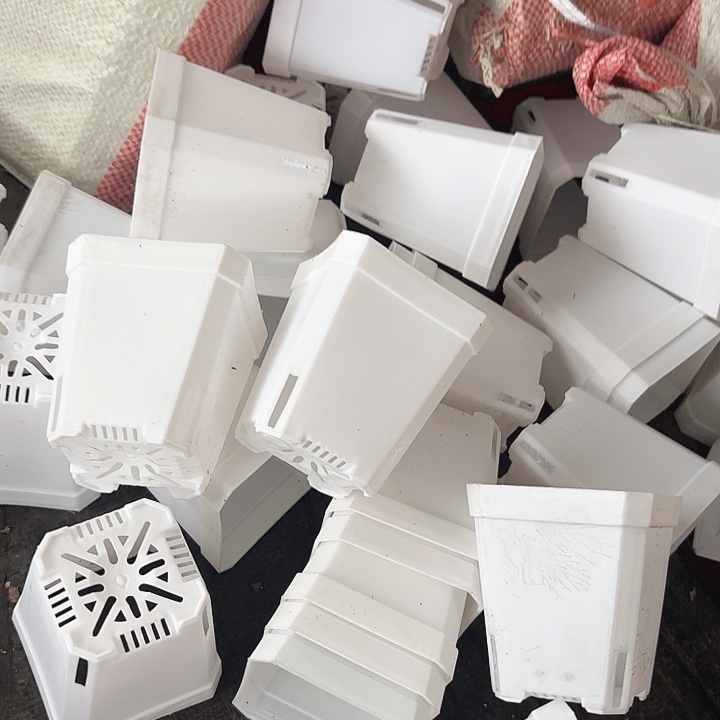 7公分白方盆60个方盆