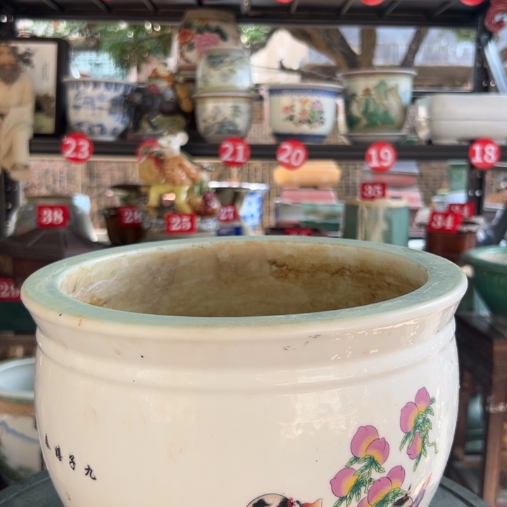 珍*我们的生活就这样被