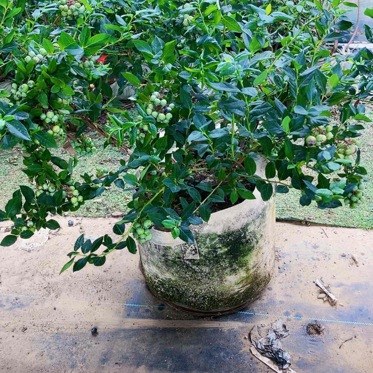 【闪购商品】完全开放