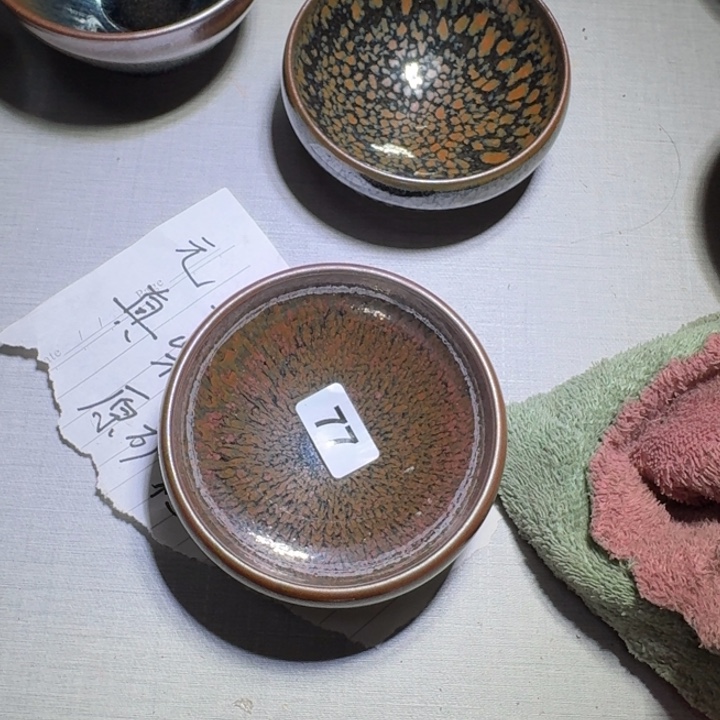 茶盏提出解决农村留守学生入学